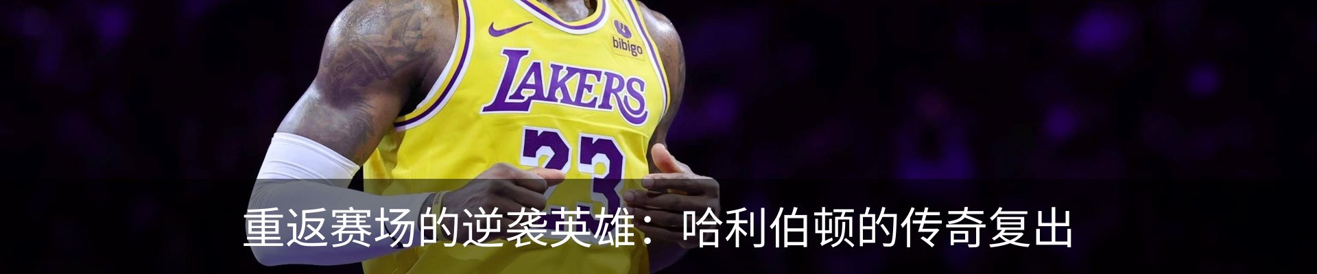 新闻动态