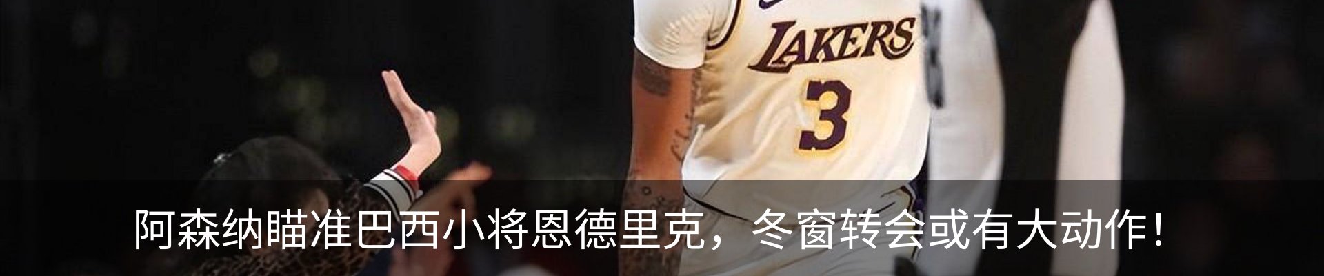 新闻动态